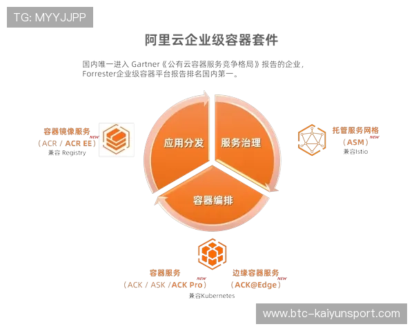 开云下载官方手机版：下载安装包的安全性分析与验证技巧